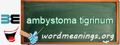 WordMeaning blackboard for ambystoma tigrinum